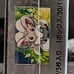 Wild Force - Booster Box