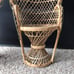 Mini Peacock Wicker Chair set of 2