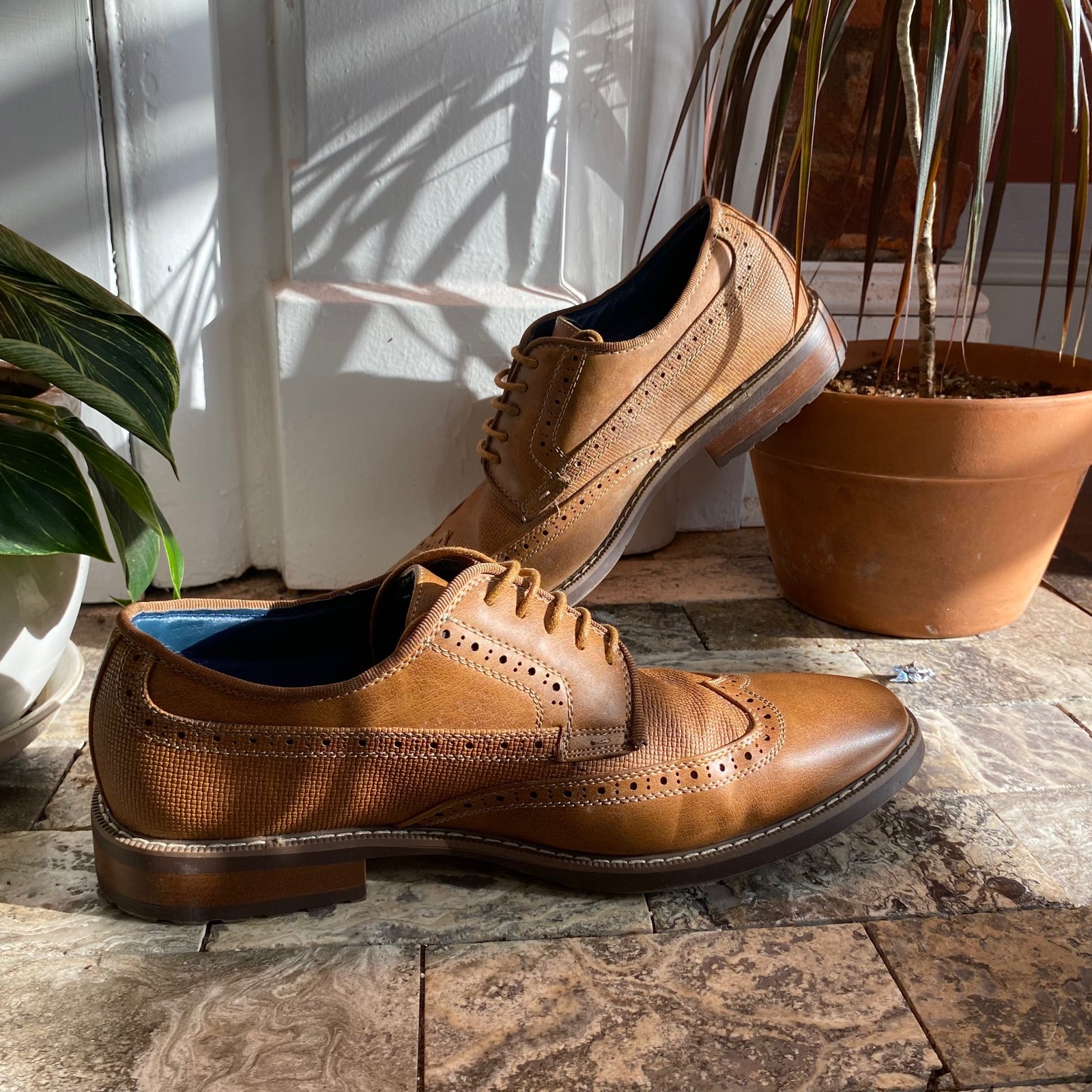 Steve Madden Wingtip Oxfords- Brown
