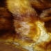 diane furs authentic vintage fur wrap