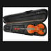 Full size violin