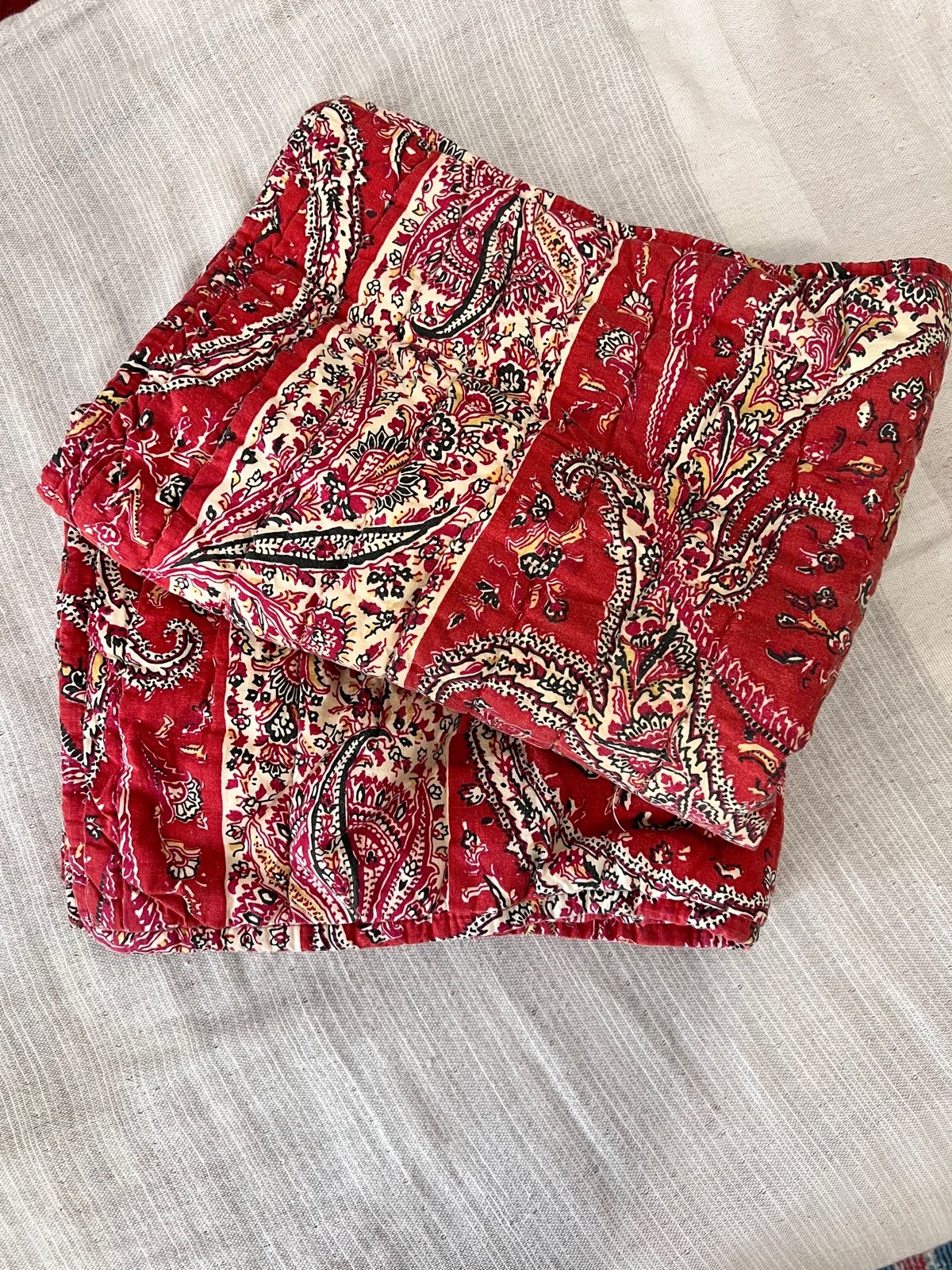 2 Pottery Barn Pillow Shams
