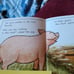 25 Joy Cowley Early Reader Books