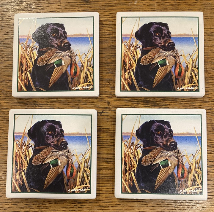 AbsorbaStone coaster set black lab labrador retriever dog duck waterfowl hunting