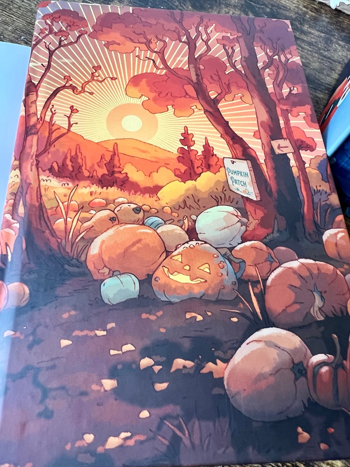 Illumicrate Afterlight - Lovelight Farms Set Signed By B.K. Borison - Exclusives - detail