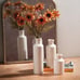 New Decorative White Ceramic Vase Set for Home Decor