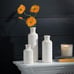New Decorative White Ceramic Vase Set for Home Decor
