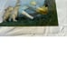 Pooh “Wedged Bear” Collection Mini Bookends
