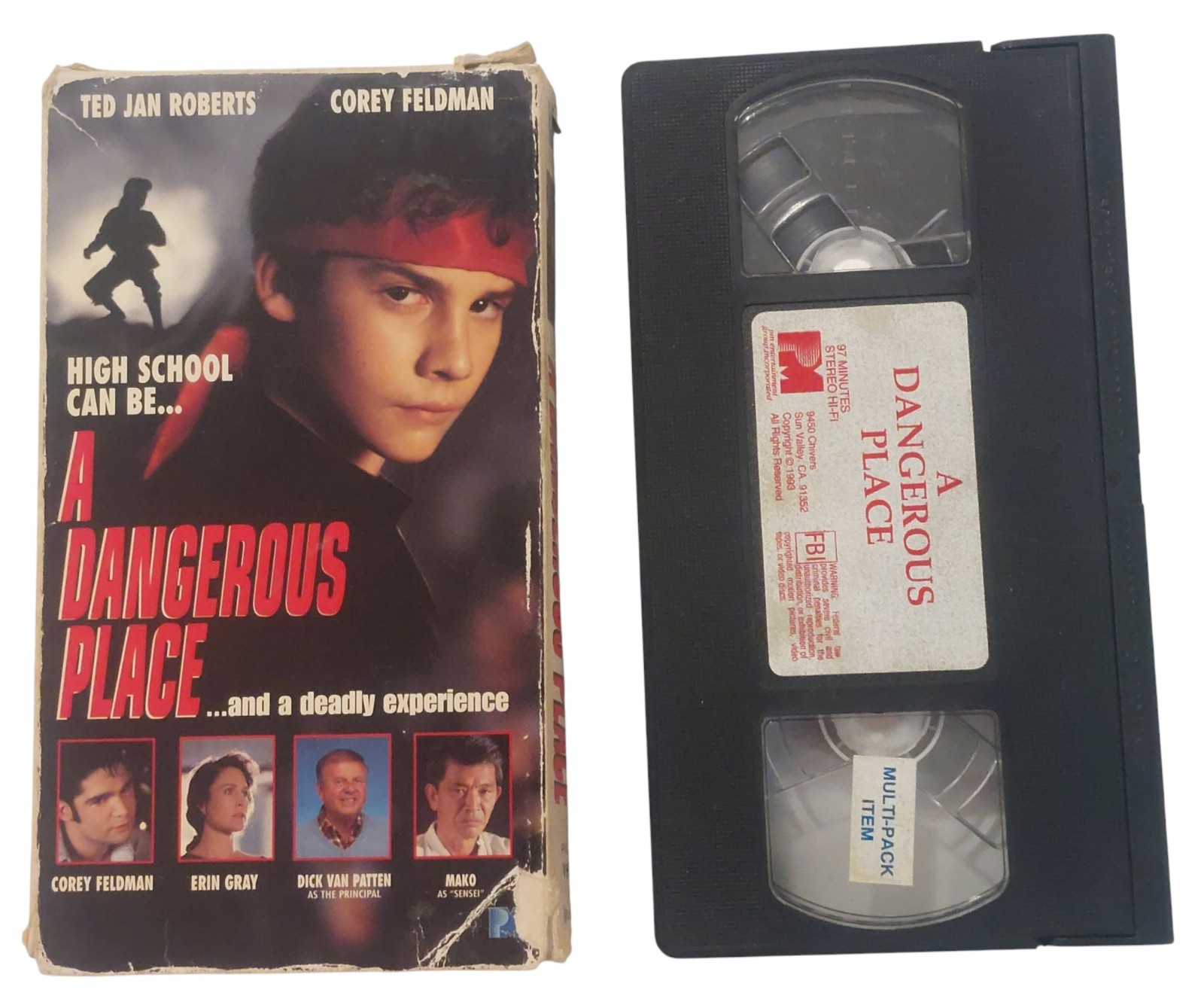 A Dangerous Place VHS Video Stars Ted Jan Roberts Corey Feldman