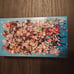 Weiss Schwartz Hololive super expo 2022 booster box sealed brand new