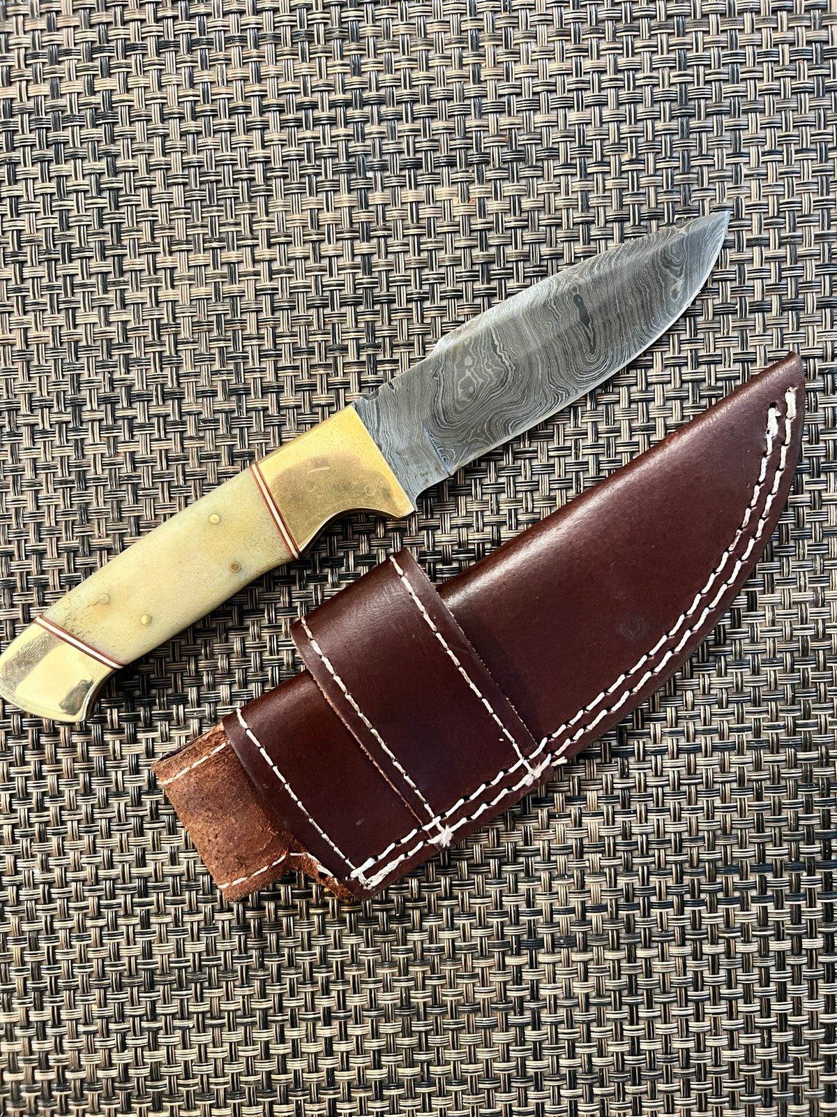 Handcrafted Kitchen Knife with Brass and Camel Bone Handle