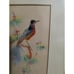 Feather Art Painted Birds Set of 2 Matted Framed Gold/Black Frames Hand Made MCM