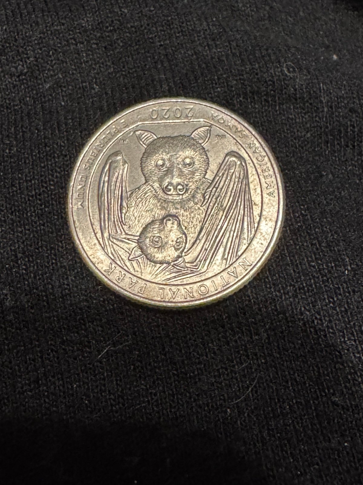 2020 Rare American Samoa Upside Down Bat Quarter Mint Mark P. decent condition