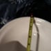 Mason Cash | In the Forest S12 Fox Embossed Mixing Bowl - 4.25 Quart/Gray