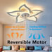 Ceiling Fan with Lights Remote Control, White Personalized Ceiling Fan with Ligh