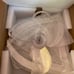 Ceiling Fan with Lights Remote Control, White Personalized Ceiling Fan with Ligh