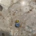Genuine Tiffany & Co necklace pendant from early 00’s - 18K white gold/sapphire