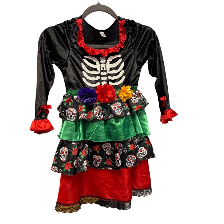 Girls Day Of The Dead Skeleton Dress With Ruffled Skirt & Floral Details By Reli
