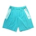 Lululemon Athletica Men’s Blue Active Athletic Gym Shorts