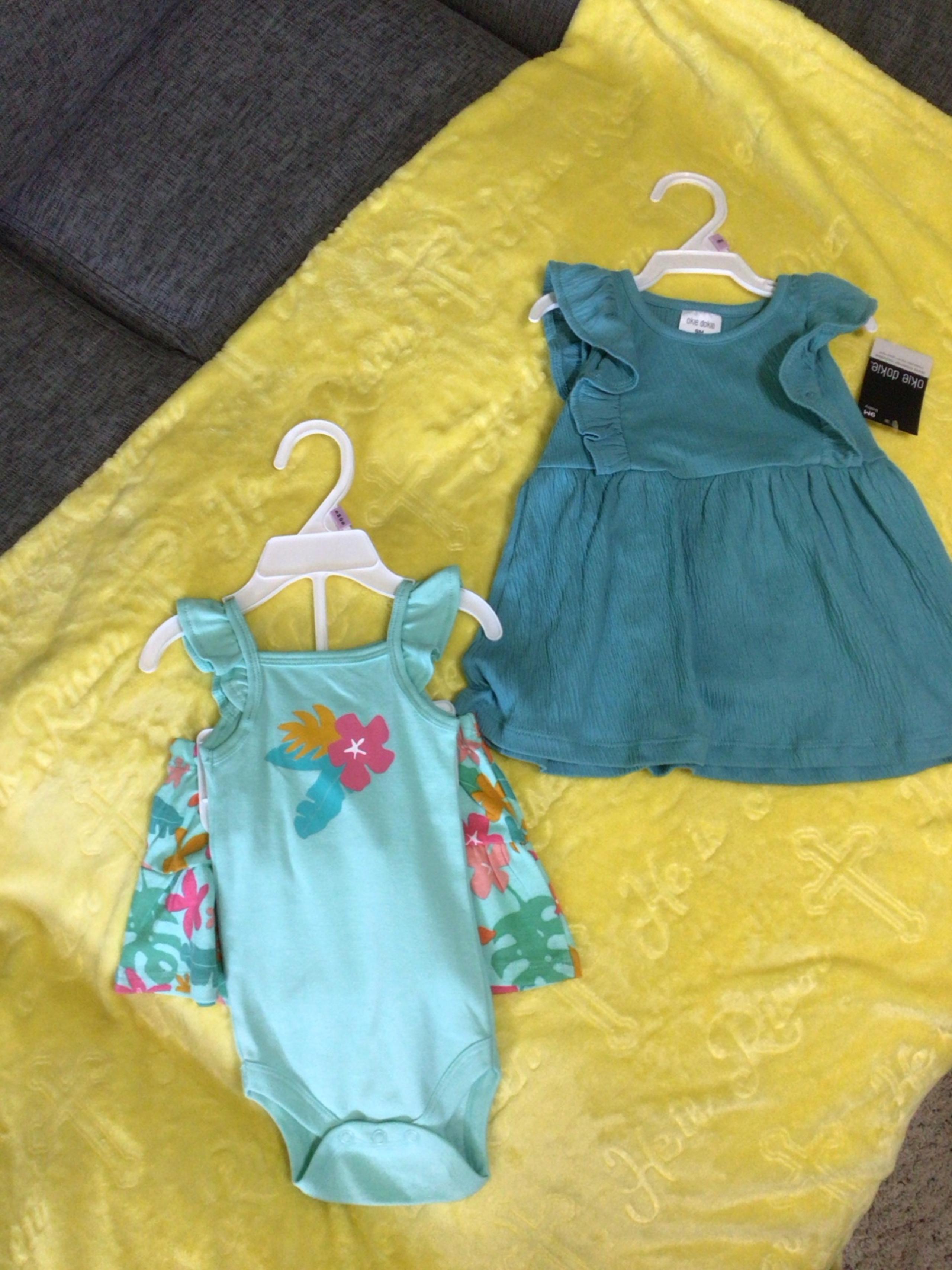 baby girl clothes bundle size 9 months