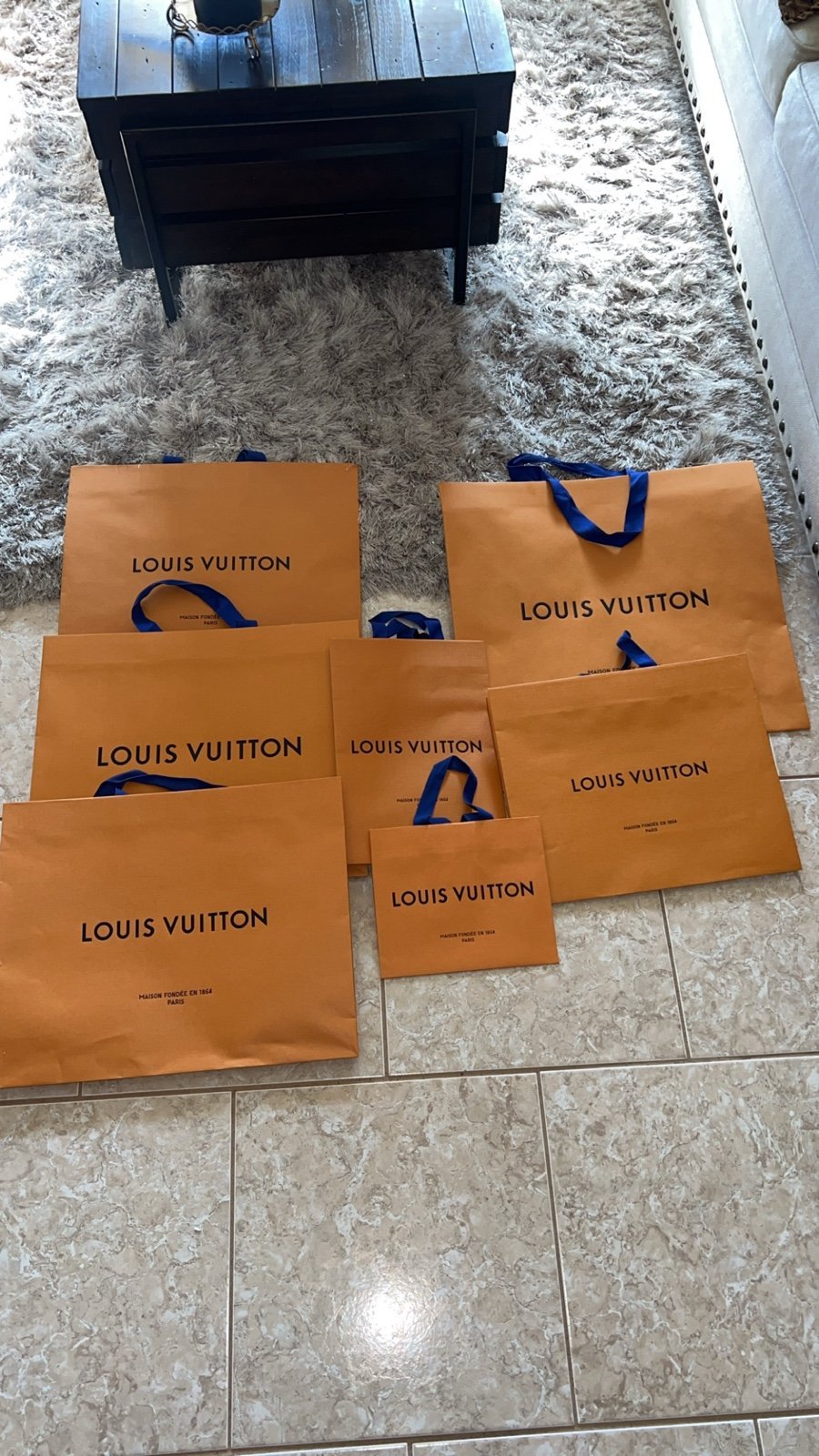Louis Vuitton bags