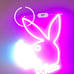 Neon sign playboy bunny
