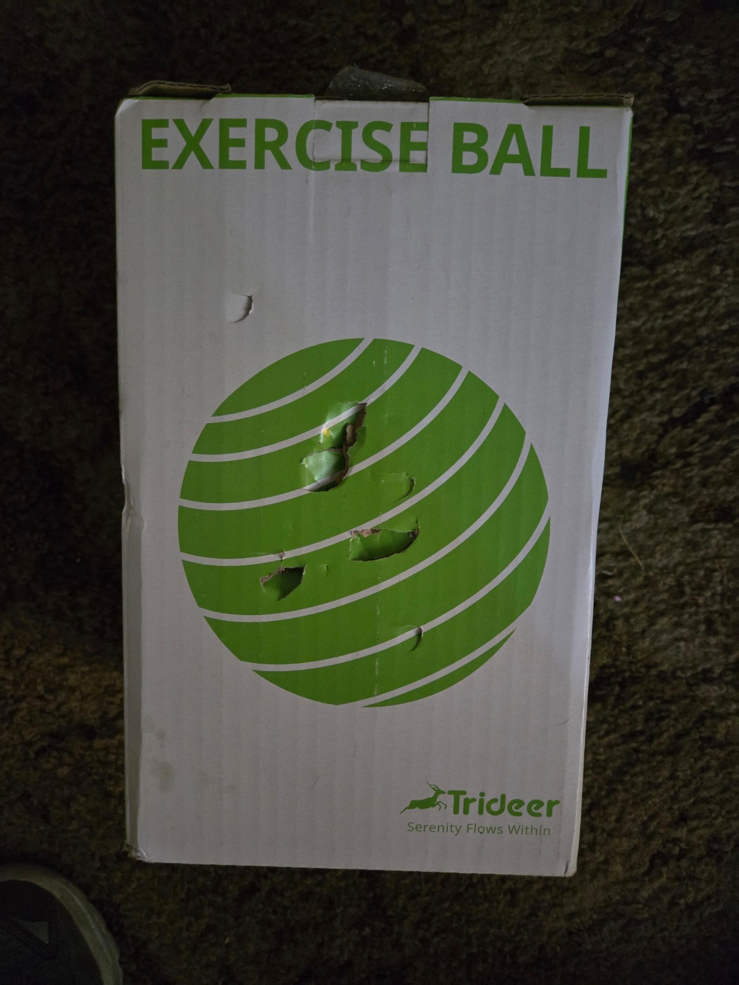 Exercise ball