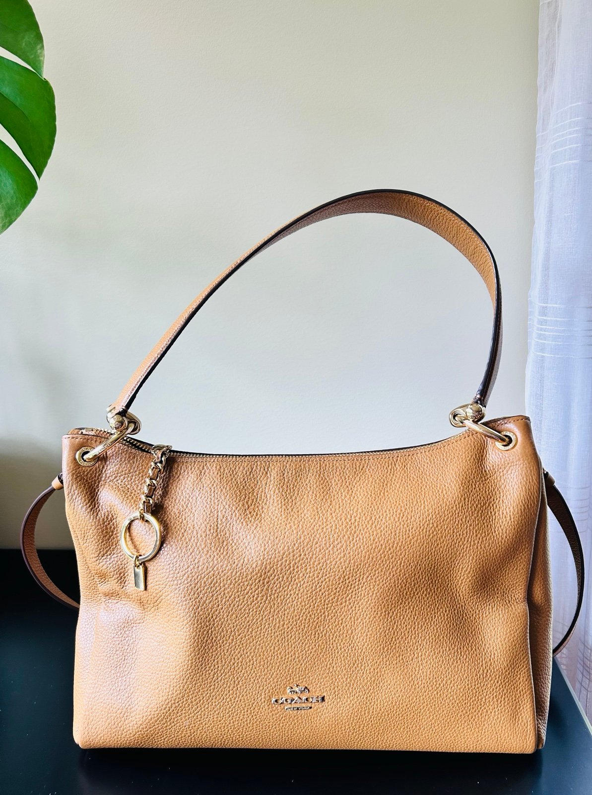 Coach leather bag
