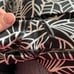 Lululemon Pretty Palm Angel Wing Wunder Under Roll Down Pant