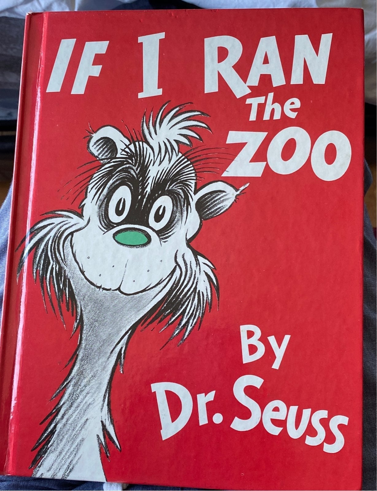 If I Ran the Zoo