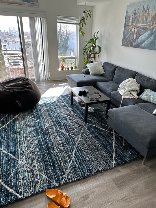 nuLOOM 8'9 x 12' Area Rug
