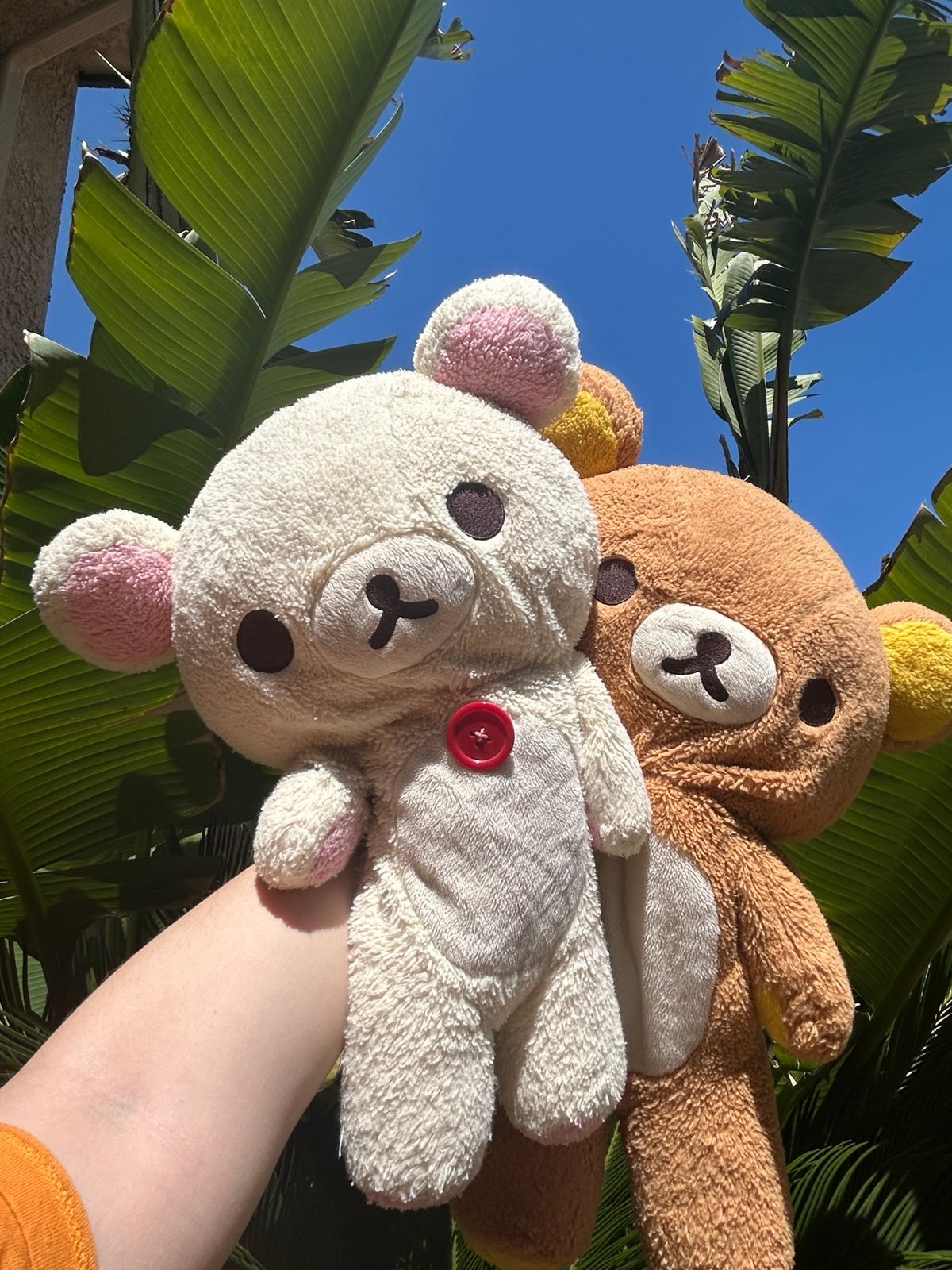 2 Large L Size 19in My Only Rilakkuma San-XPlush very Rare collectible rilakkuma