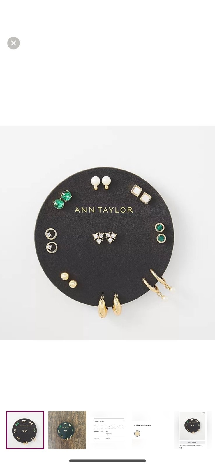 Ann Taylor Earring