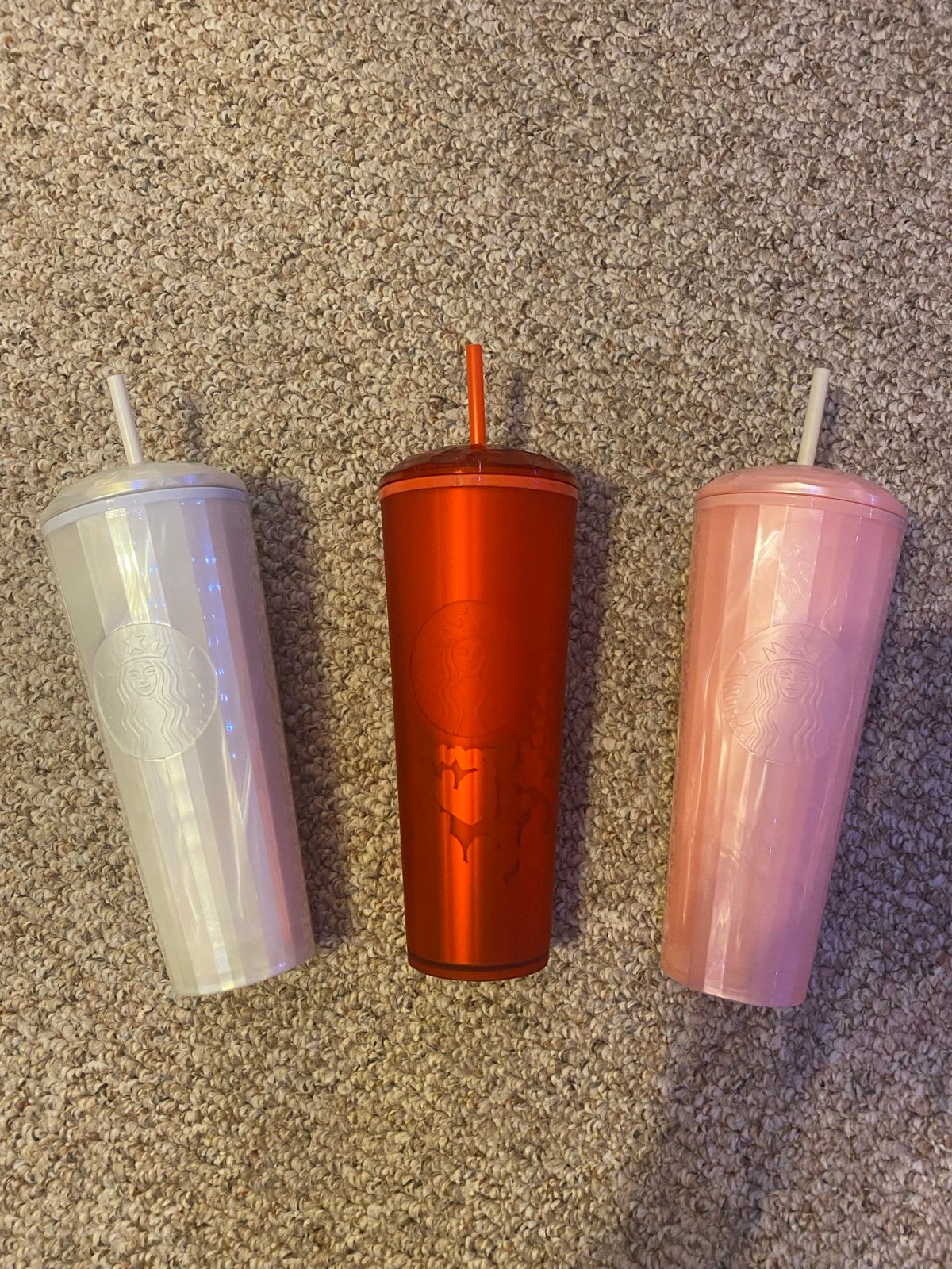 Starbucks Dome Cups