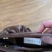 NWOT Vanessa hand purse