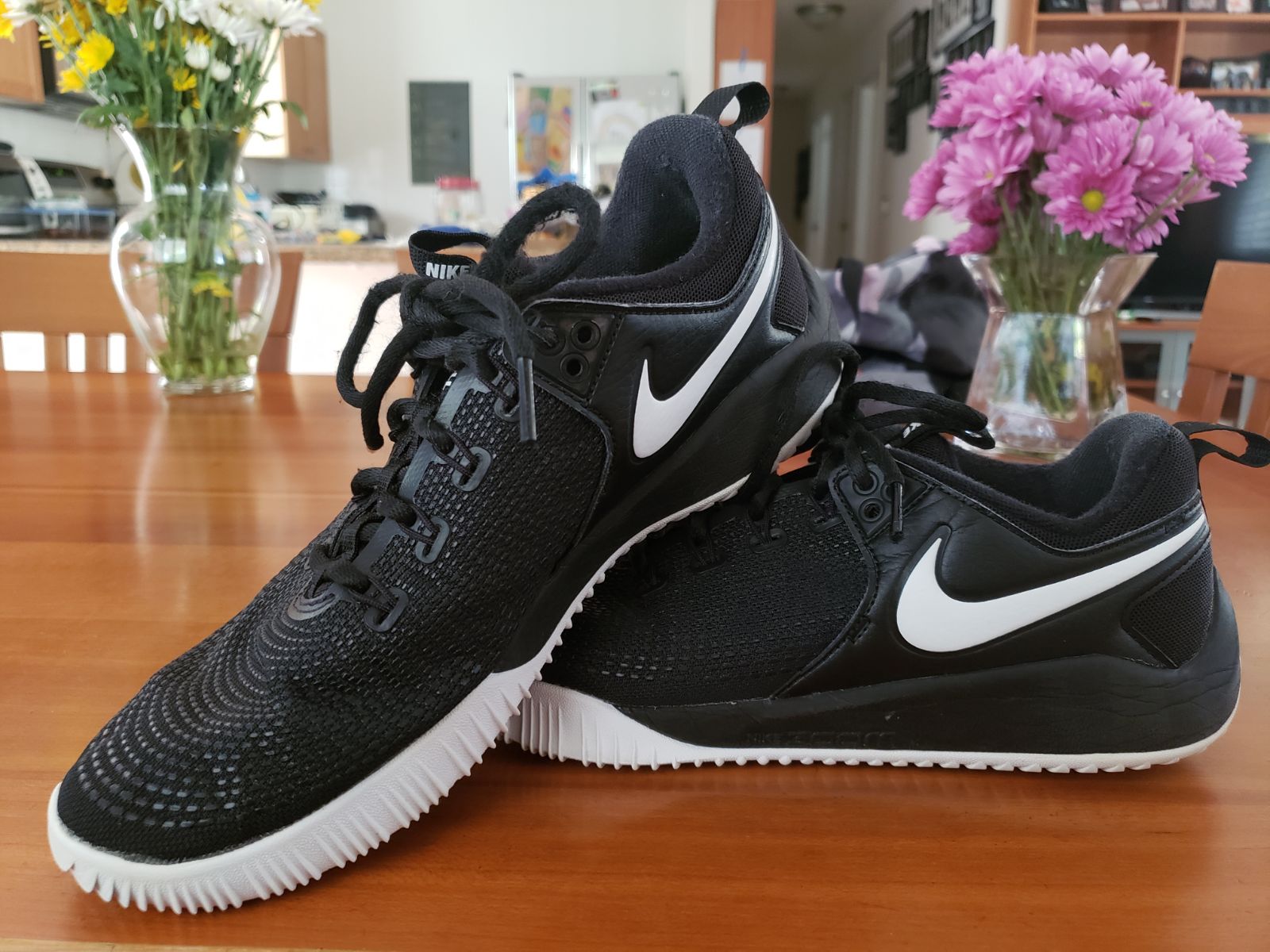 Nike volleyball shoes