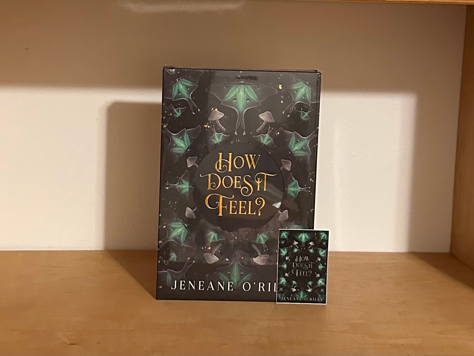 Bookish Box How Does it Feel? by Jeneane O’Riley with Book Cover Sticker