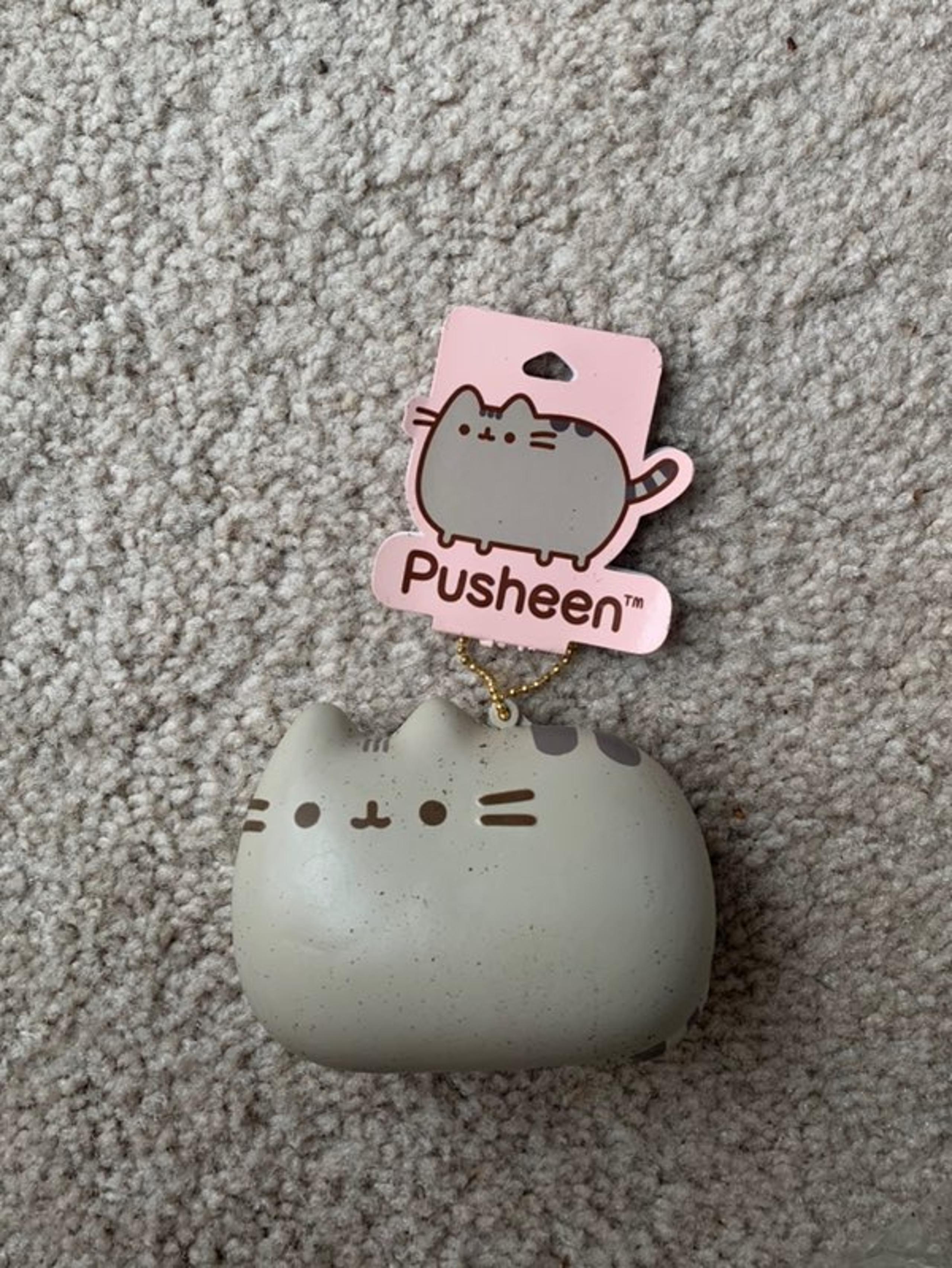 Pusheen Squishy Plush Toy/Keychain