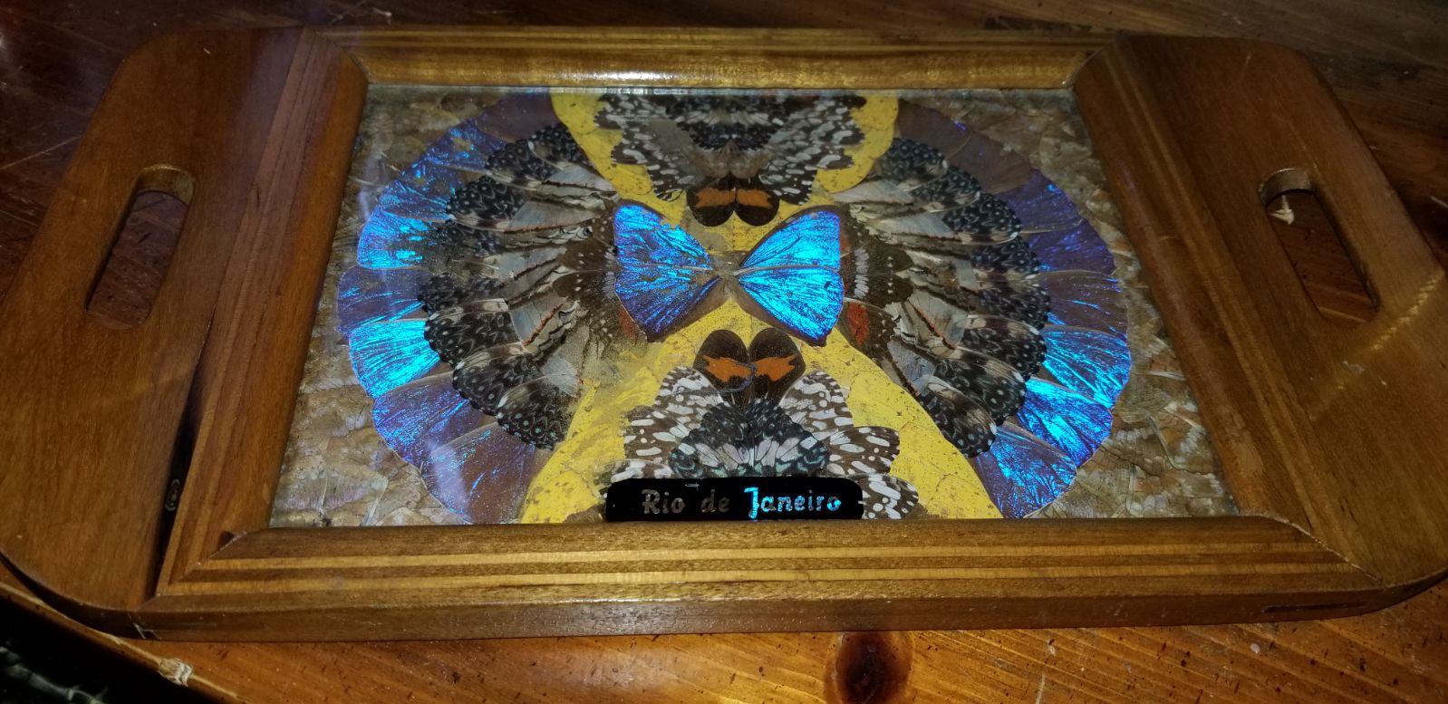 Butterfly serving plate