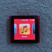 iPod Nano 6th Gen