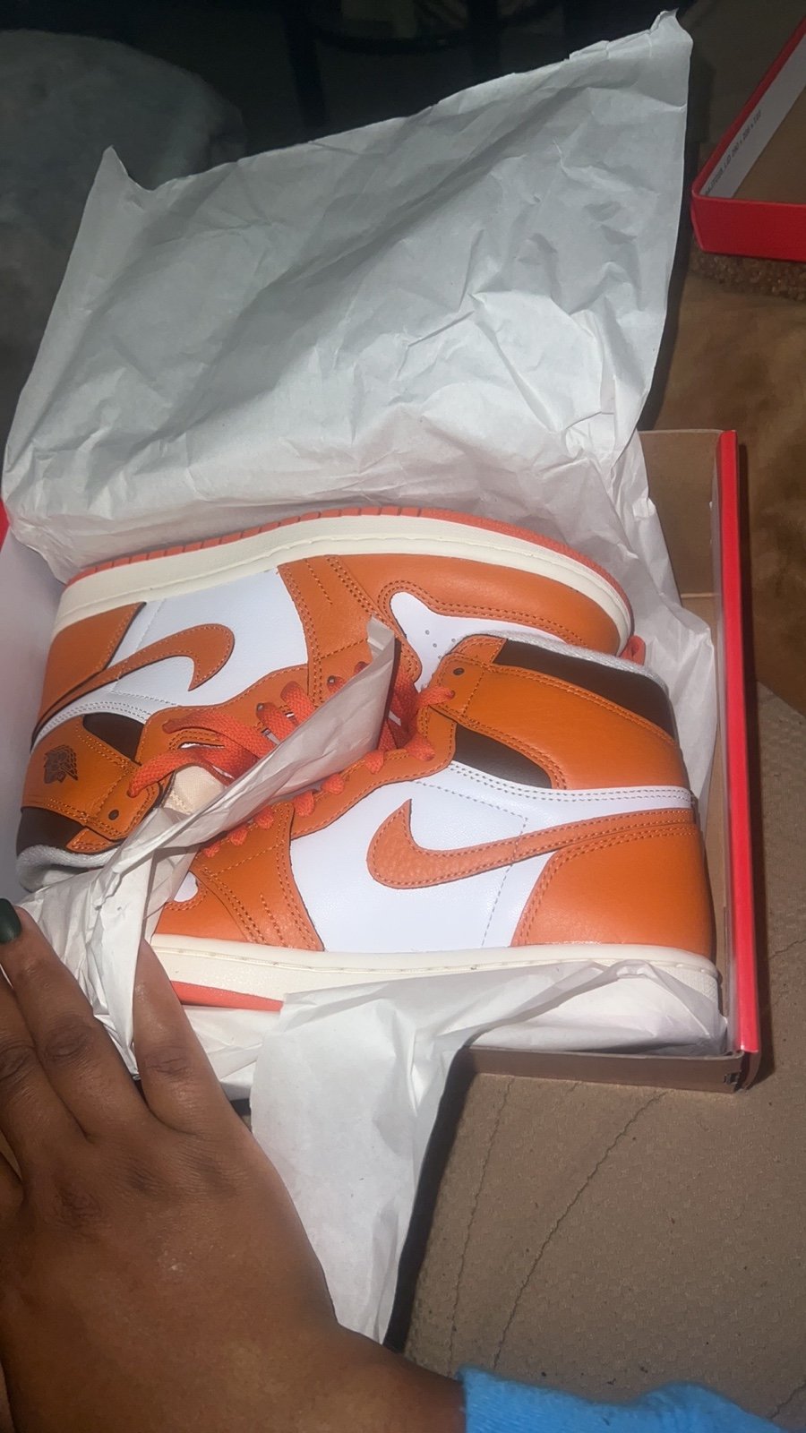 Nike Air Jordan 1 Retro High OG Shoes