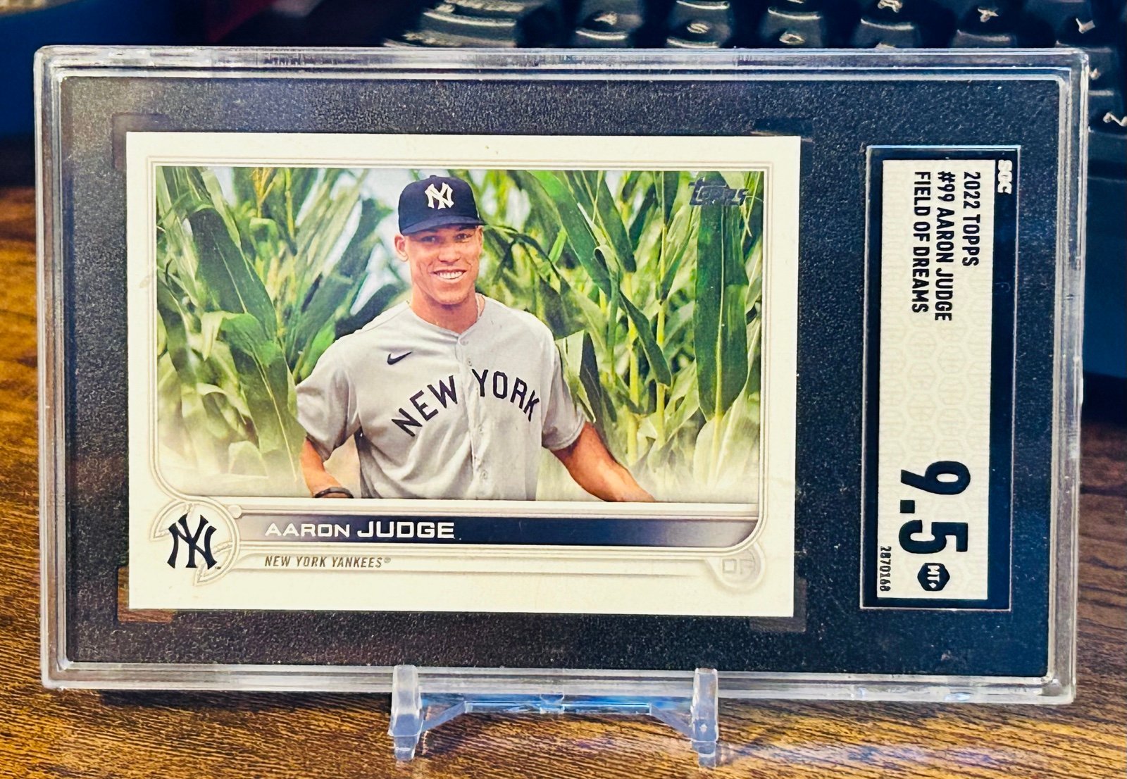 Aaron Judge