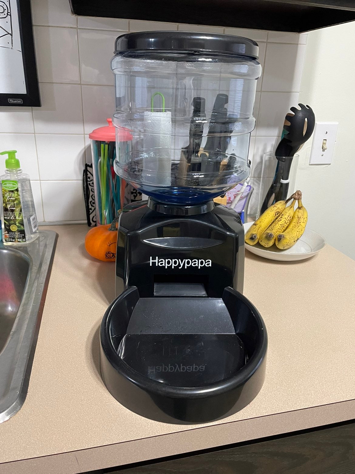Automatic Pet Feeder