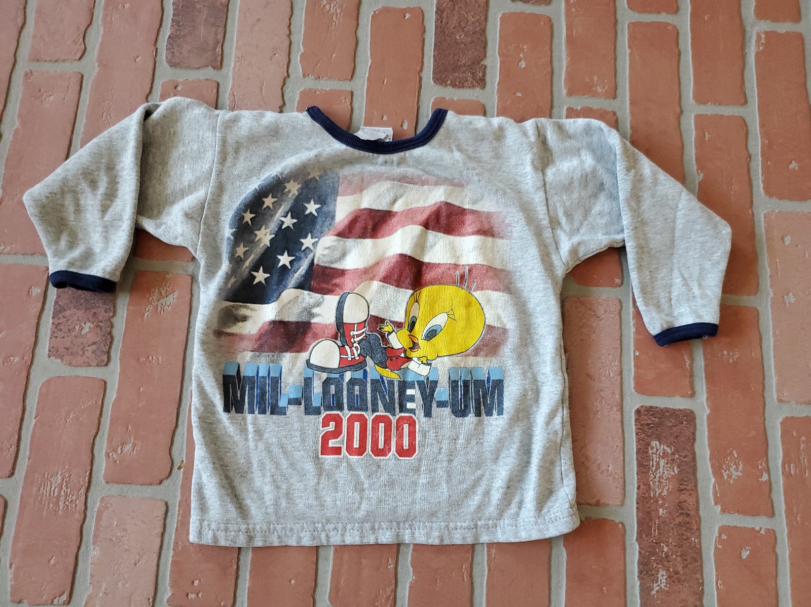 Vintage 1997 Tweety Bird Sweatshirt American Flag Size 5/6 Months