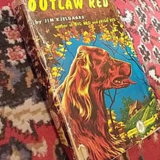 Outlaw Red Son of Big Red Kim Kjelgaard