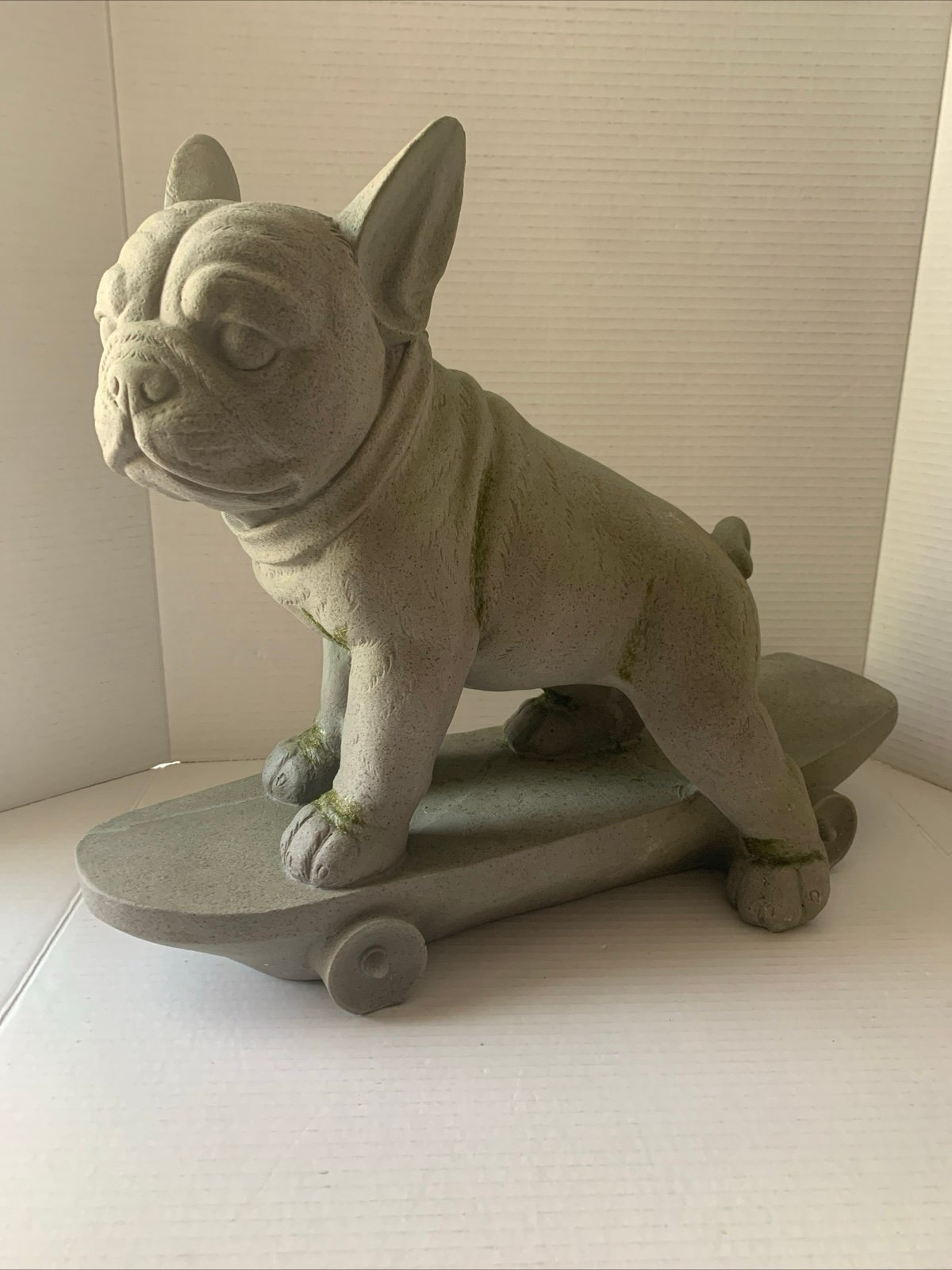 Frenchie Riding On a Skateboard