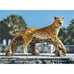 Leopard's Kingdom Garden Statue, full color