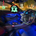 NEW 2PCS GHOST GLOW IN DARK GREEN JDM TSURIKAWA RING Red Handle Strap Drift
