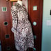 NWT Motherhood Maternity Dress
