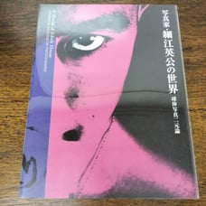 The World of Eikoh Hosoe, Photographer: The Binary of Spherical Photography, Gentosha